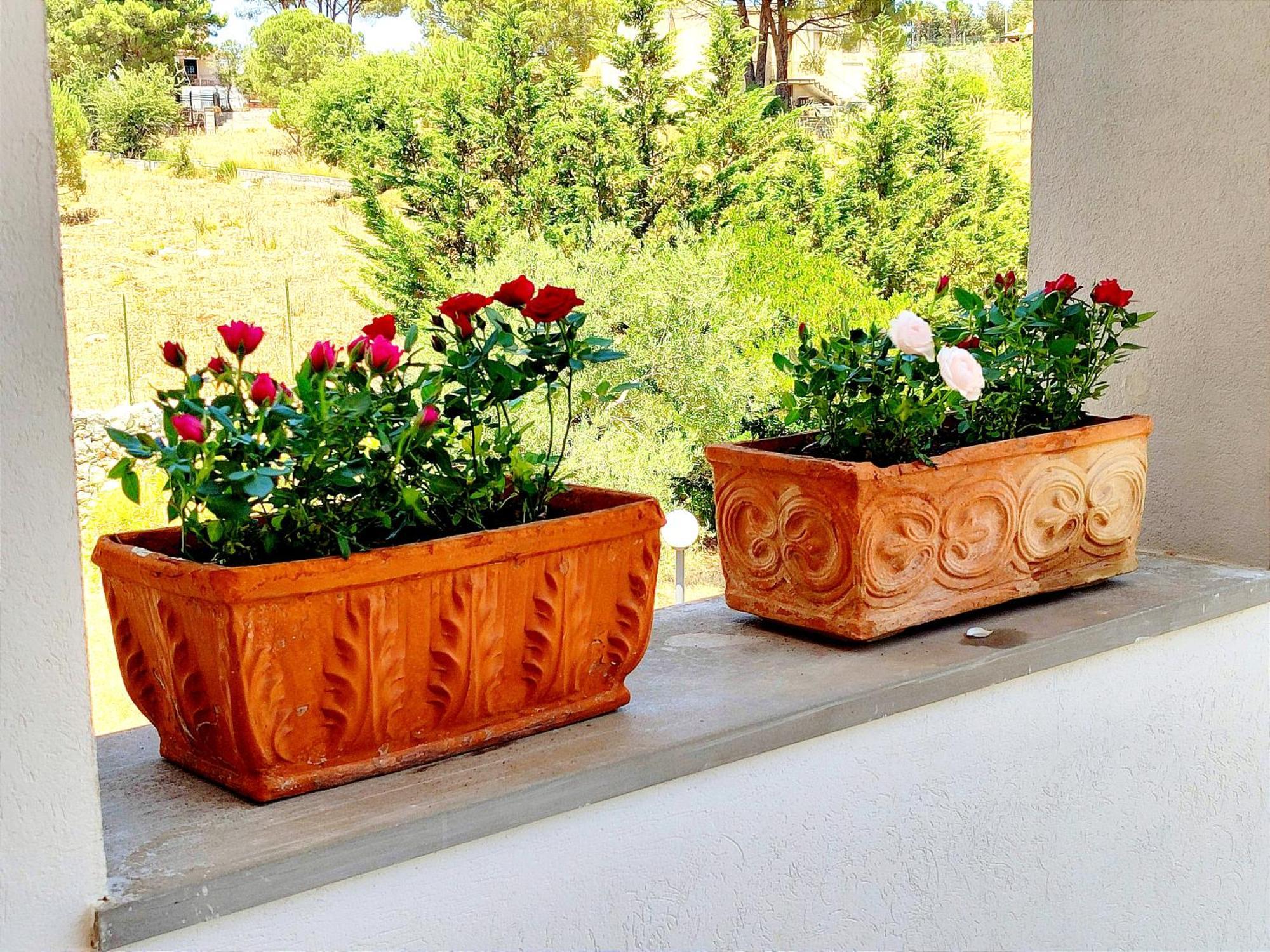 Villa Orizzonte Sullo Jonio 아볼라 외부 사진