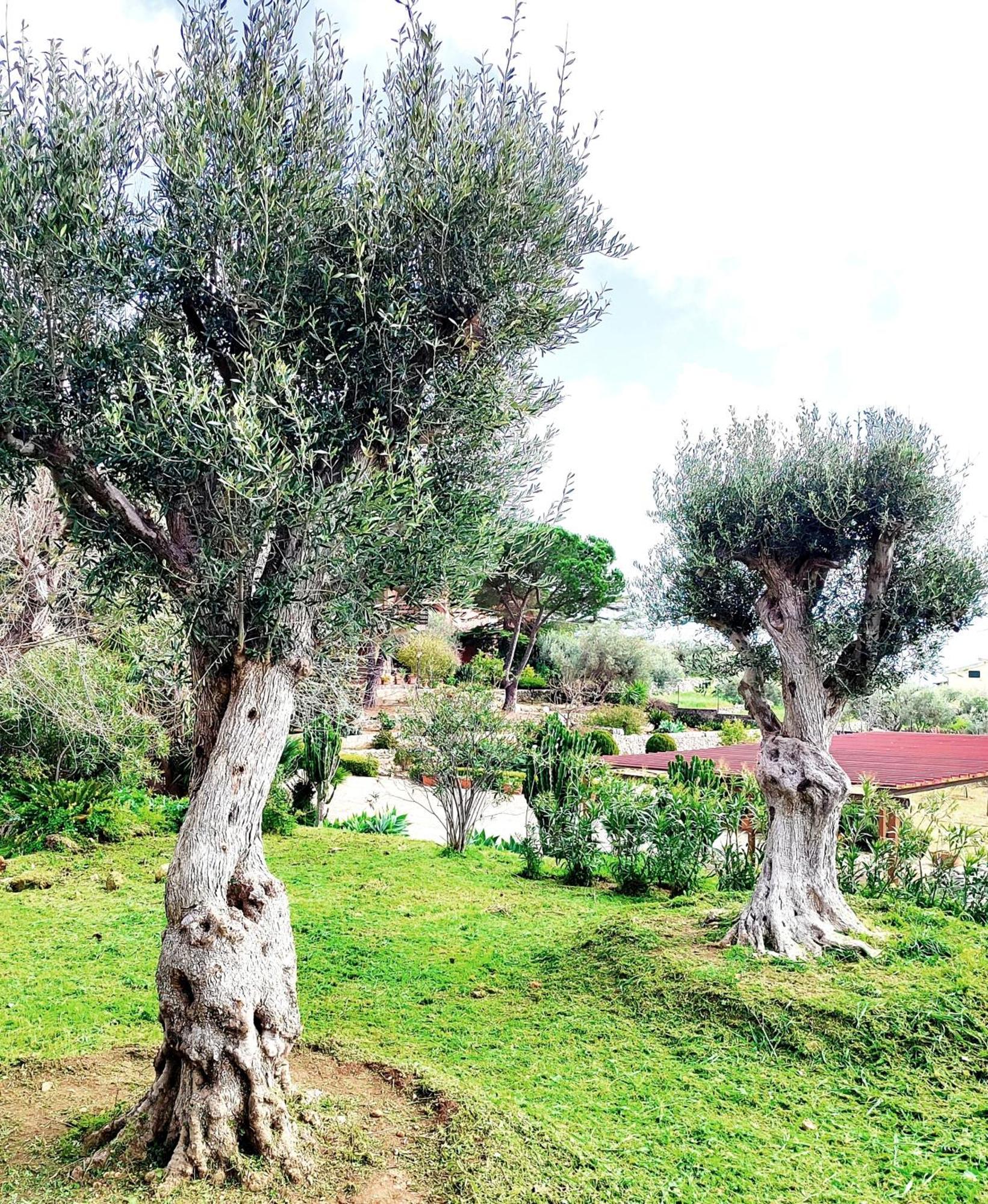 Villa Orizzonte Sullo Jonio 아볼라 외부 사진